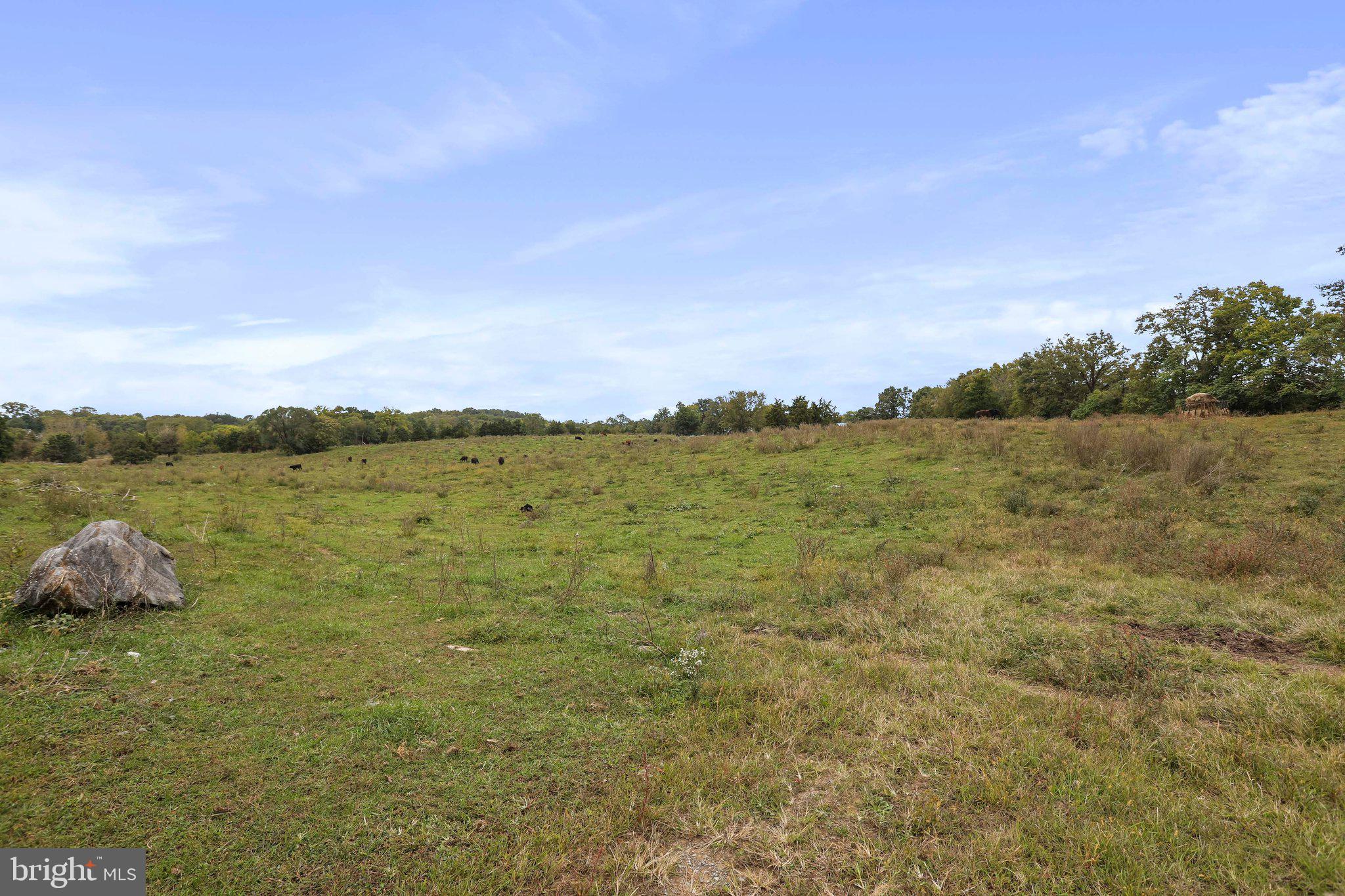 SWAN POND - Residential