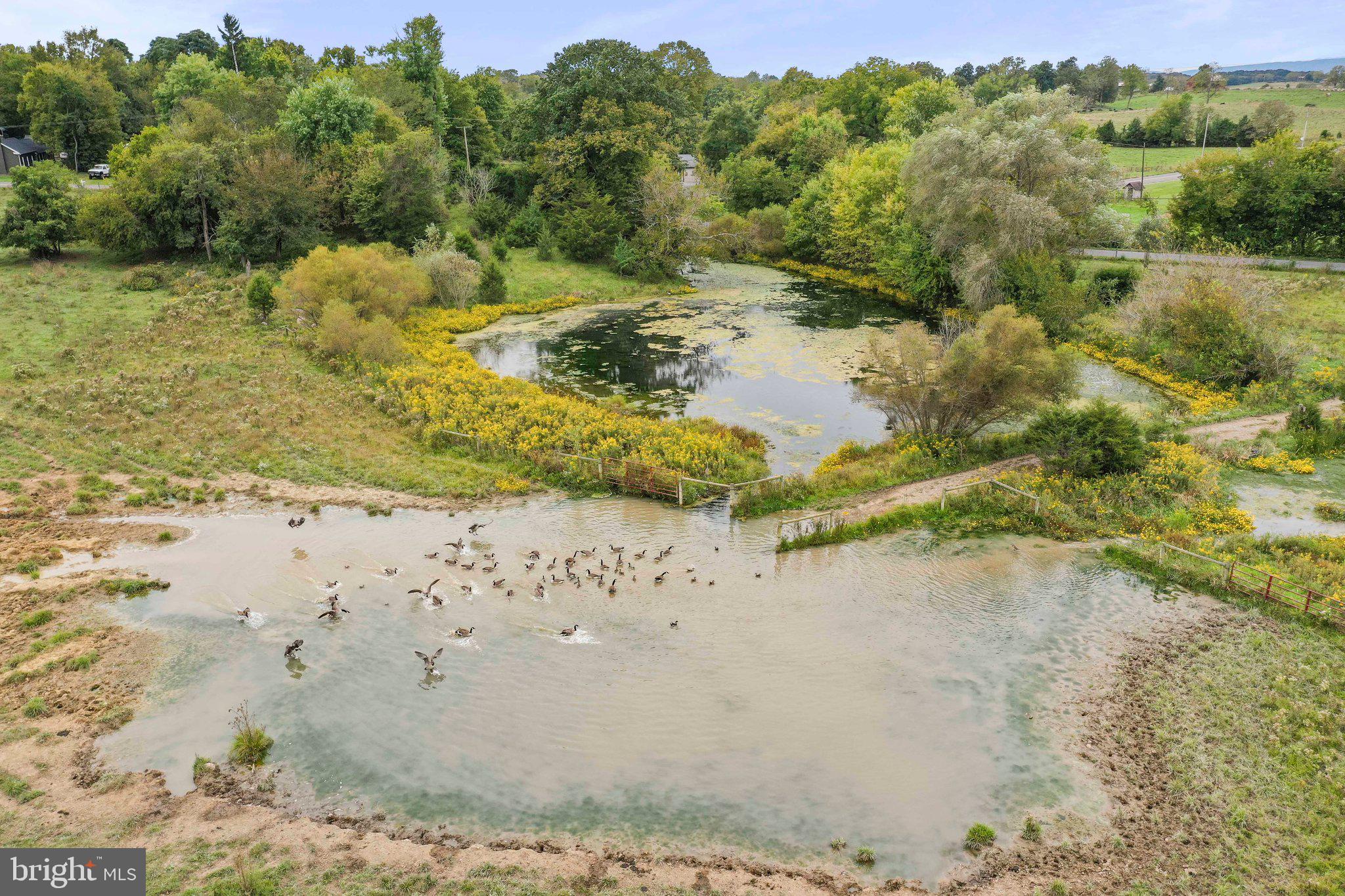 SWAN POND - Residential