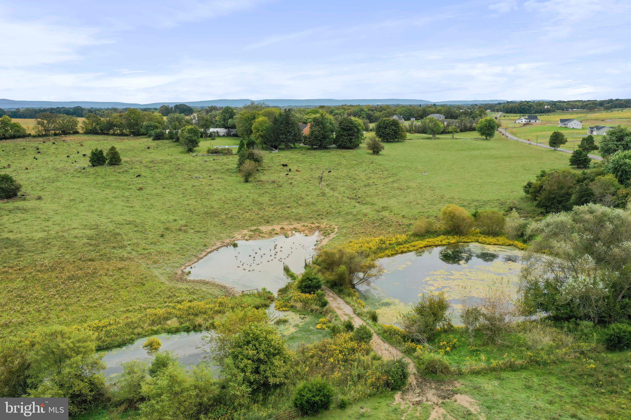 SWAN POND - Residential