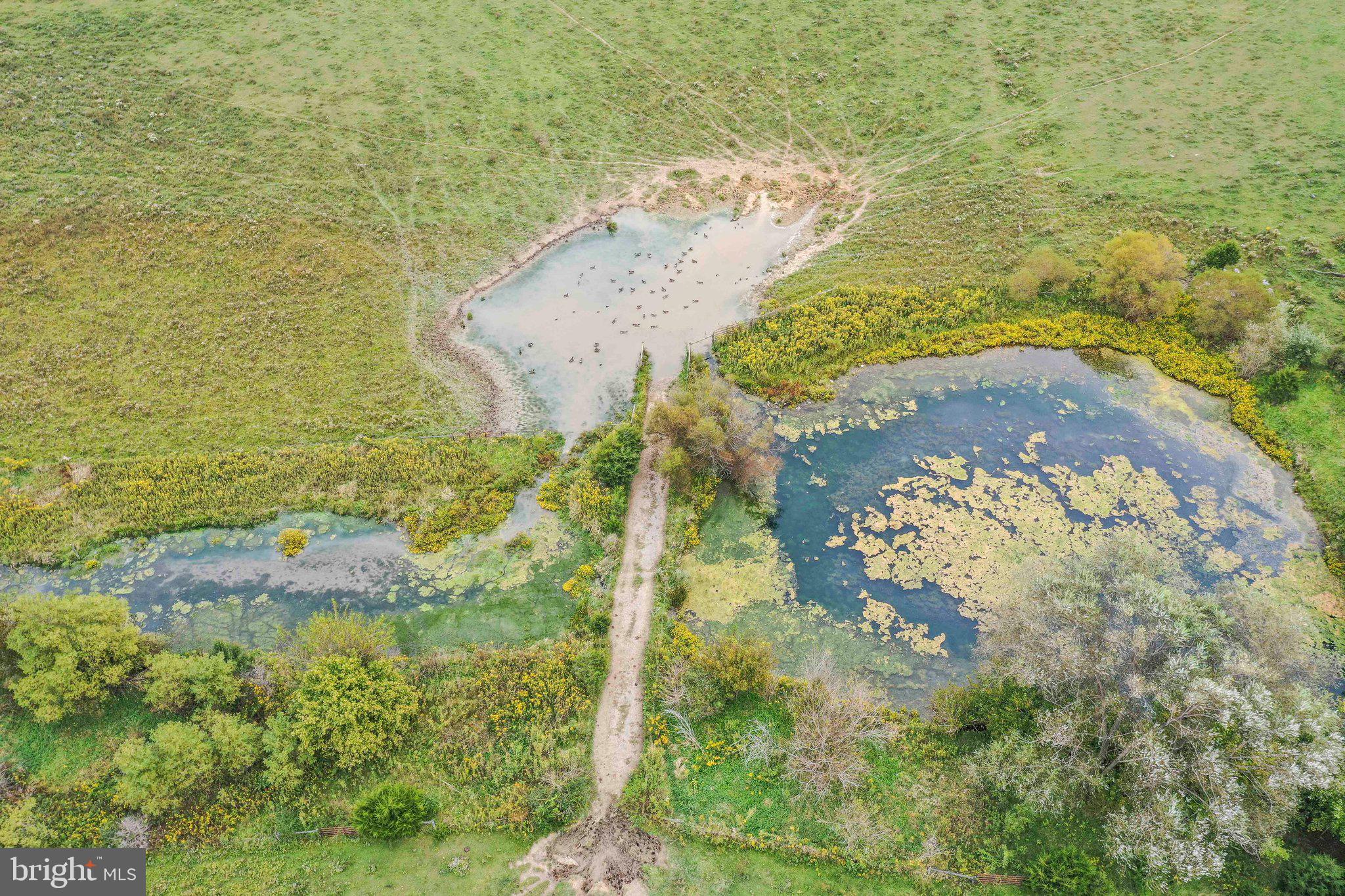 SWAN POND - Residential