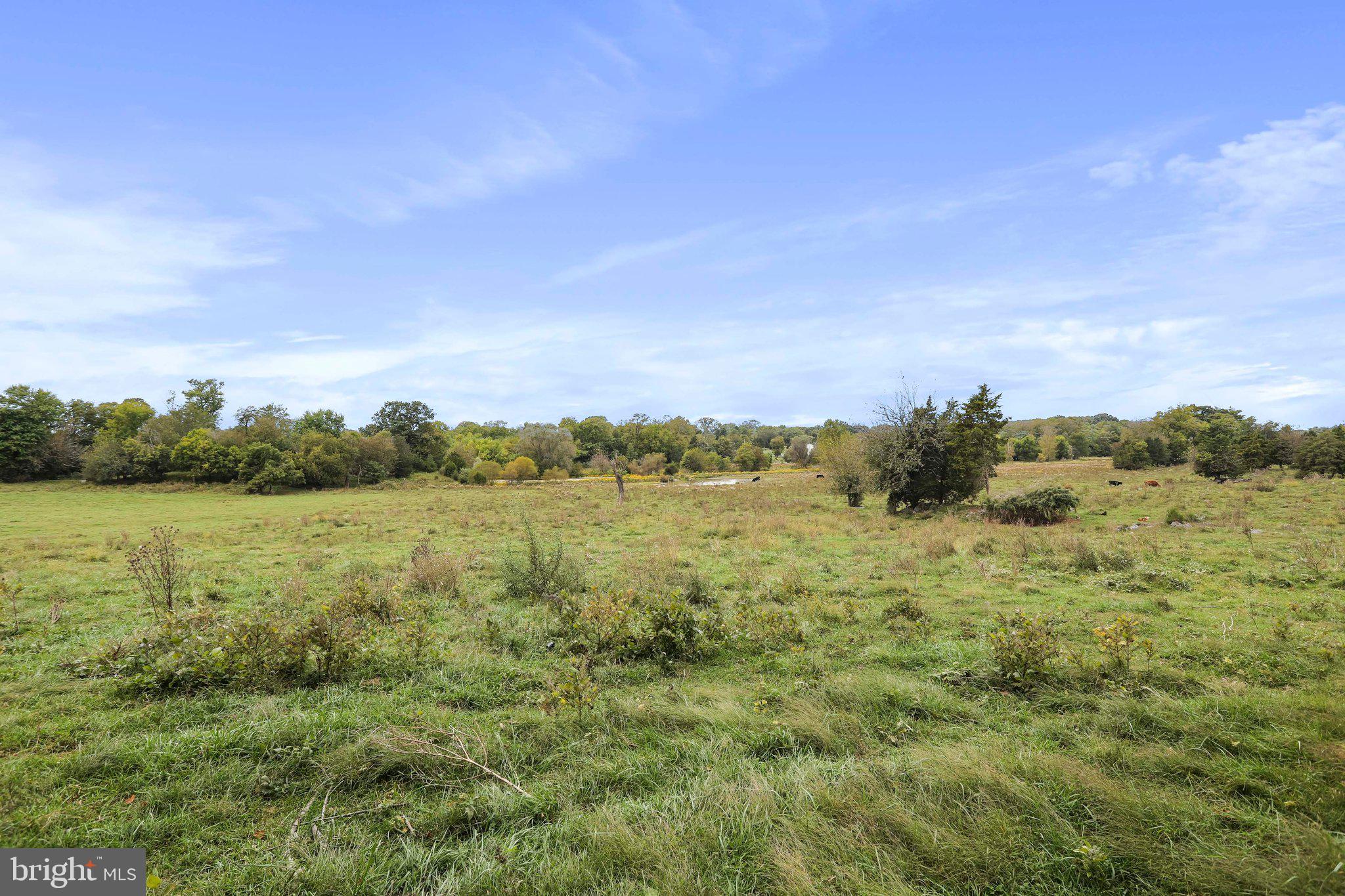 SWAN POND - Residential
