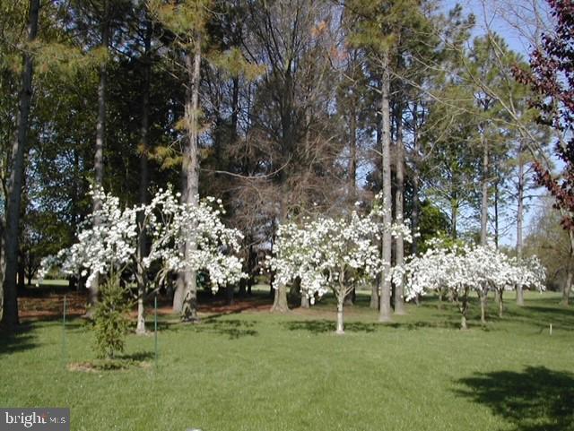 PRESQUILE - Residential