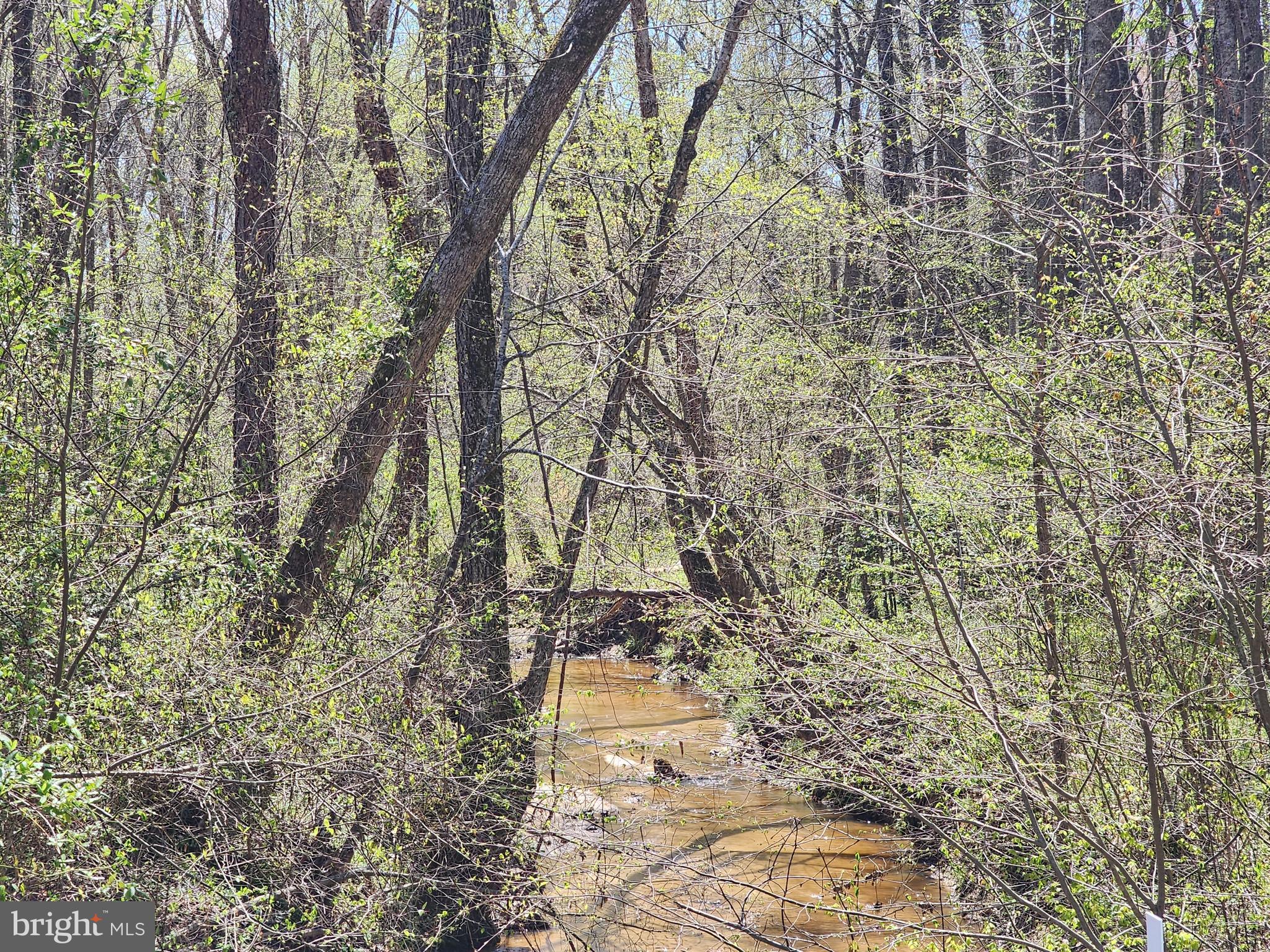 BENT CREEK - Land
