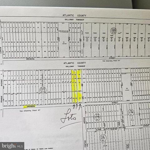 Vacant Land For Sale - Drosera Street<br/> MAYS LANDING, NJ 08330