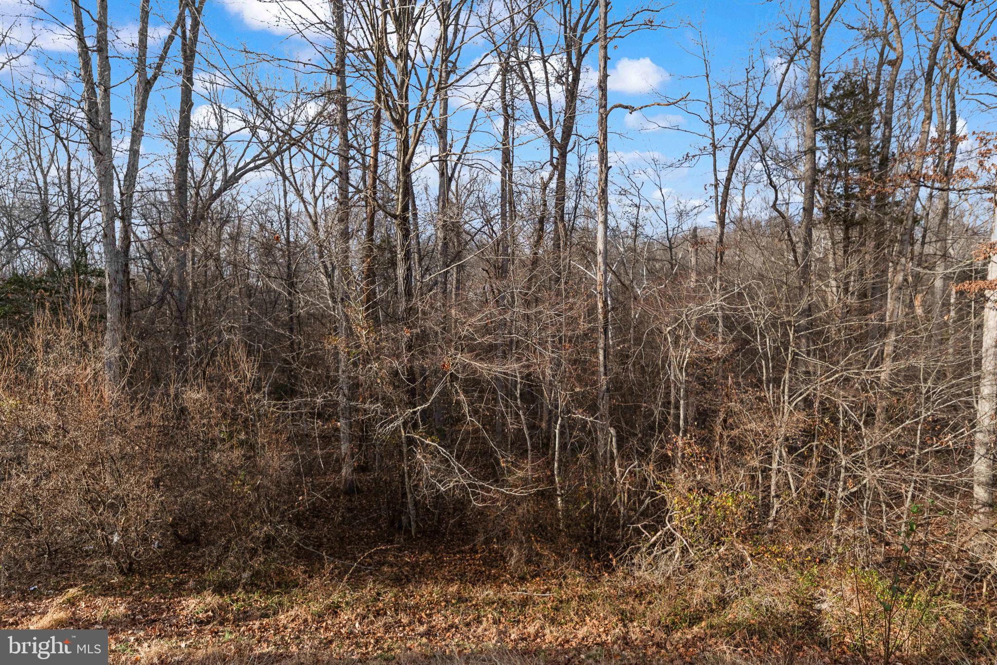 APPLE GROVE - Residential