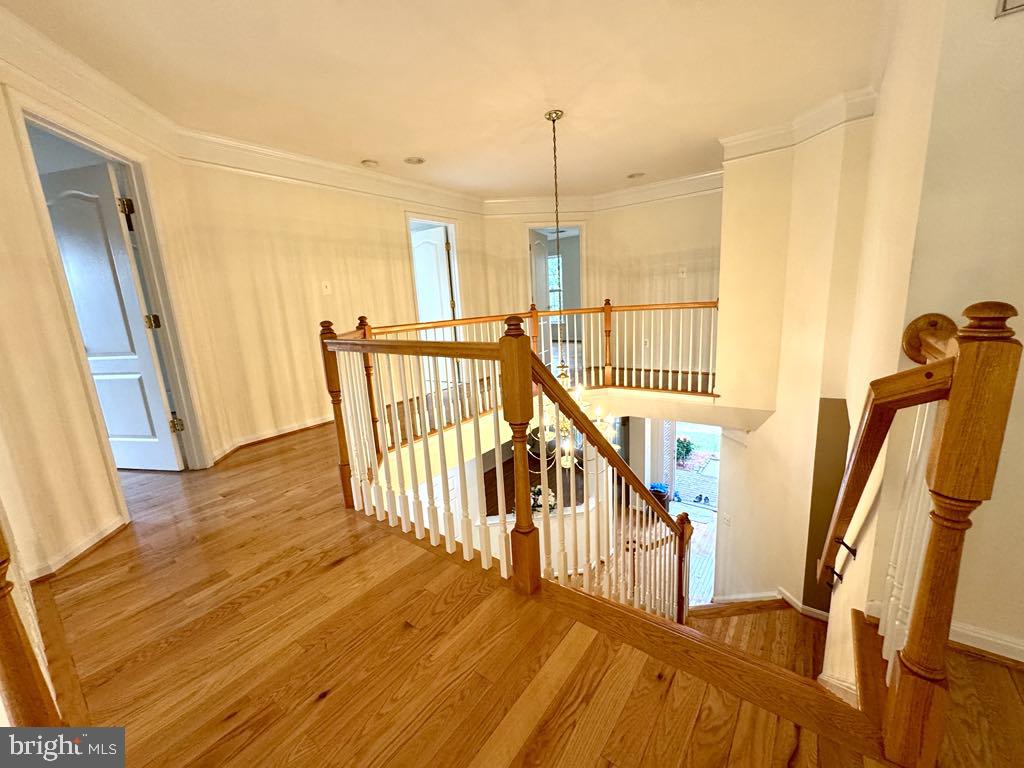 ACCOTINK BLUFF ESTATES - Residential