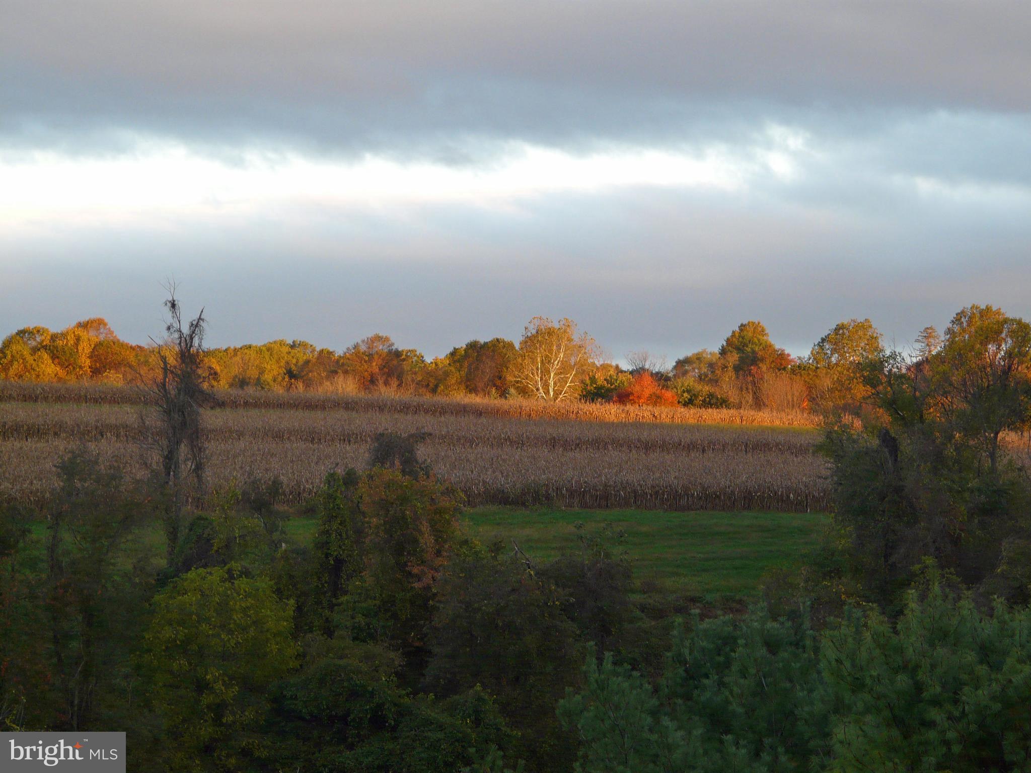 BROAD RUN - Residential