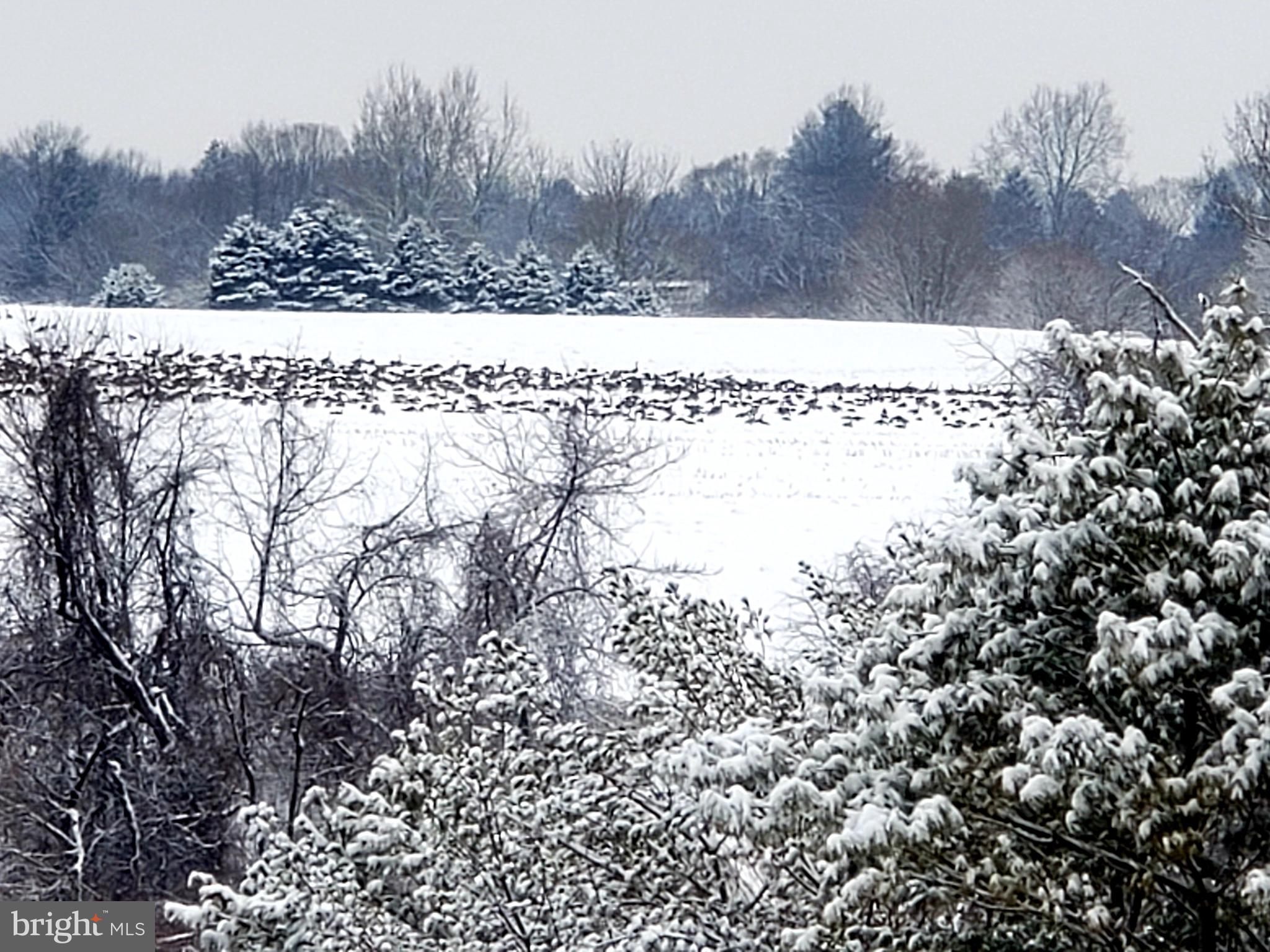 BROAD RUN - Residential