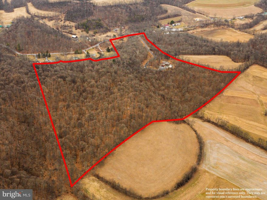 This isn’t just a property—it’s a rare canvas for lifestyle, legacy, and strategic growth. STR earning almost $90,000 per year. Welcome to 53 private, wooded acres just minutes from the iconic Raystown Lake, anchored by a stunning 3,700+ square foot custom log cabin that effortlessly blends rustic charm with refined comfort. Featuring 5 spacious bedrooms, 3.5 bathrooms, and handcrafted wood finishes throughout, the home is designed to host up to 16 guests and currently generates almost one hundred thousand annually as a high-performing short-term rental. Whether you’re looking for a personal retreat, a cash-flowing asset, or a long-term development play, this property delivers on all fronts. The expansive acreage offers the potential to subdivide and build multiple additional homes or cabins, unlocking new revenue streams or creating a one-of-a-kind vacation compound. With abundant wildlife, private trails, and unbeatable proximity to boating, fishing, and outdoor adventure at Raystown Lake, it’s a destination as much as it is an investment. The massive garage adds even more flexibility—ideal for storage, a workshop, or future guest accommodations. Whether you're here to relax, explore, build, or scale, this is a property that grows with your vision—rich in natural beauty, income potential, and long-term upside. Opportunities like this don’t come along often, and when they do, they move fast. BEING SOLD AS IS, ALL FURNITURE INCLUDED. Reach out to listing agent for a full video tour of property!