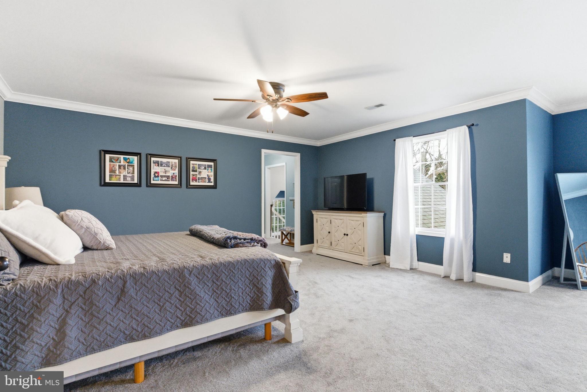 AMBLER - Residential