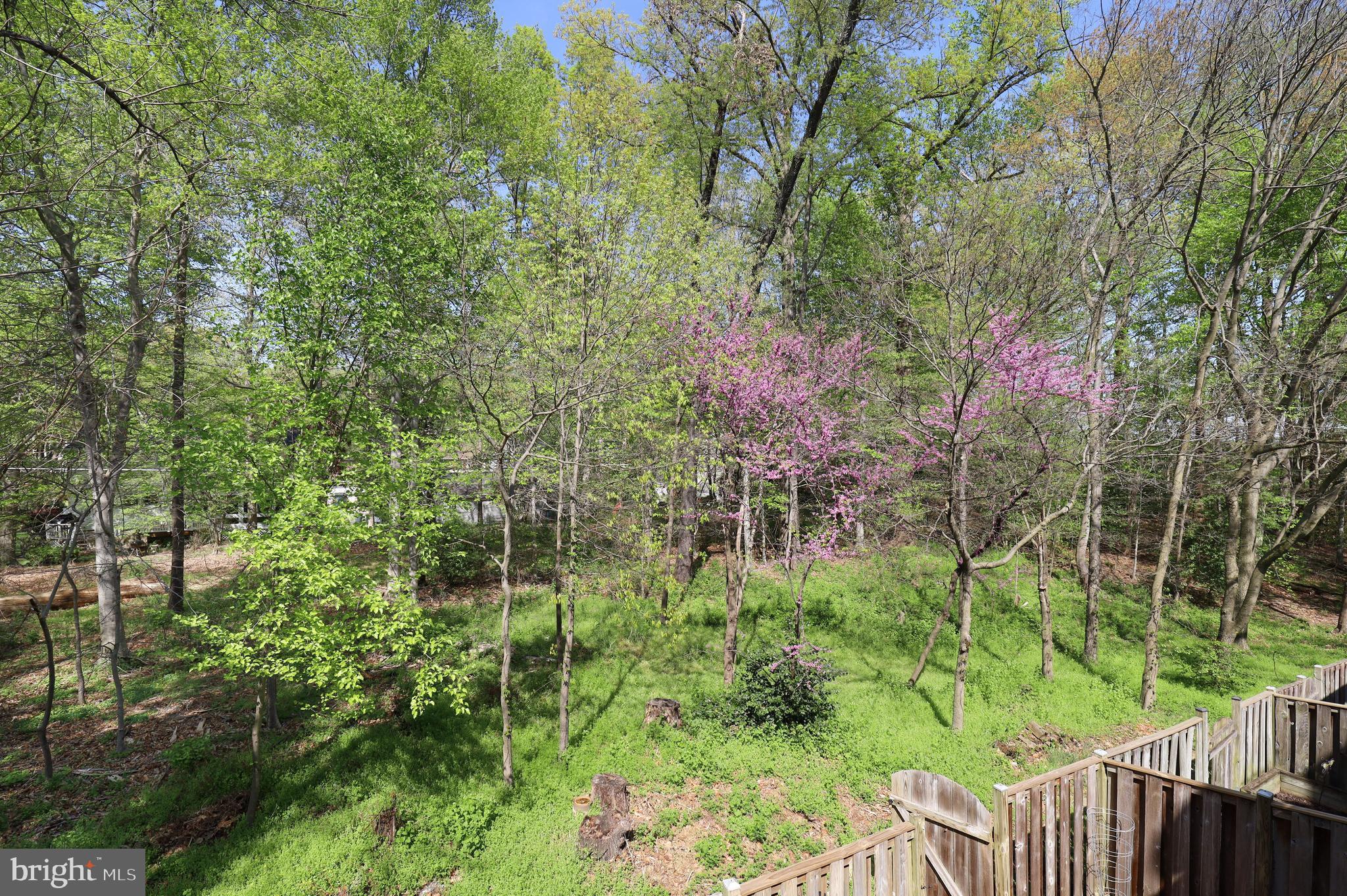 SPRINGFIELD OAKS - Residential