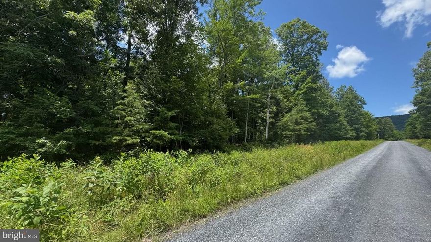 Welcome to your future home site on Hunter Rd. in Maurertown! This fully wooded 3.03-acre lot offers the perfect blend of privacy and natural beauty. Tucked away in a peaceful setting, it’s ready for you to build the home you’ve always envisioned. The property is approved for a 3-bedroom septic (perc) and features underground electric nearby, making utility hookup easy. Whether you're planning a permanent residence or a weekend escape, this lot is a great opportunity to create your own retreat in the Shenandoah Valley.