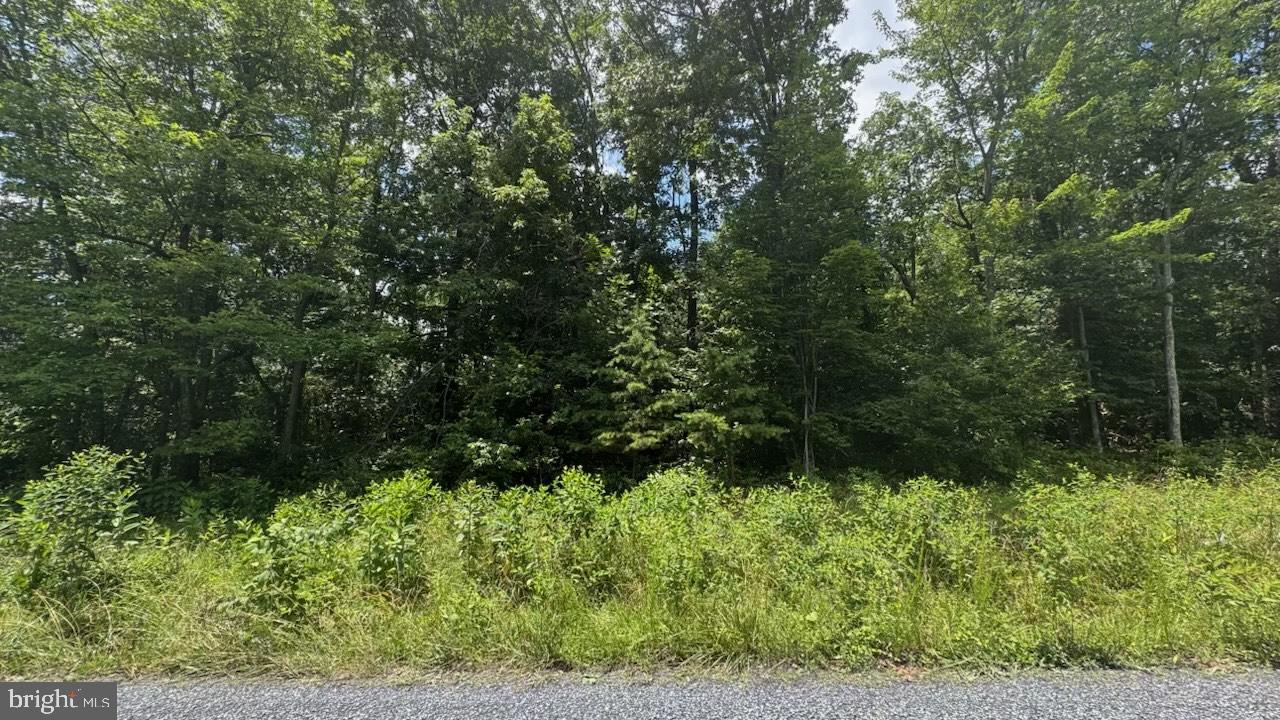 WILD WATER ESTATES - Land