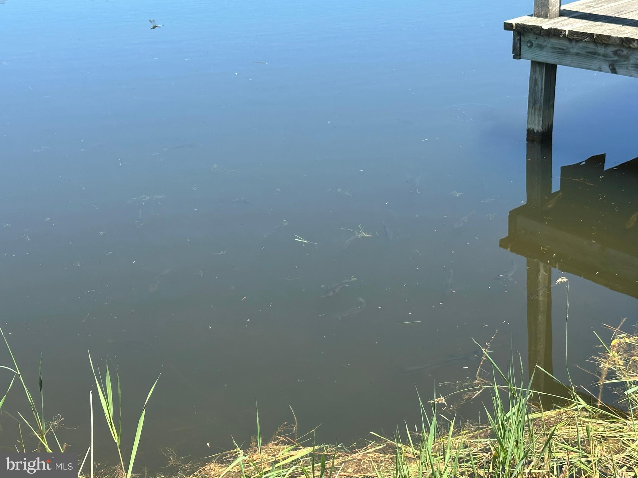 CRESCENT CROSSING - Land