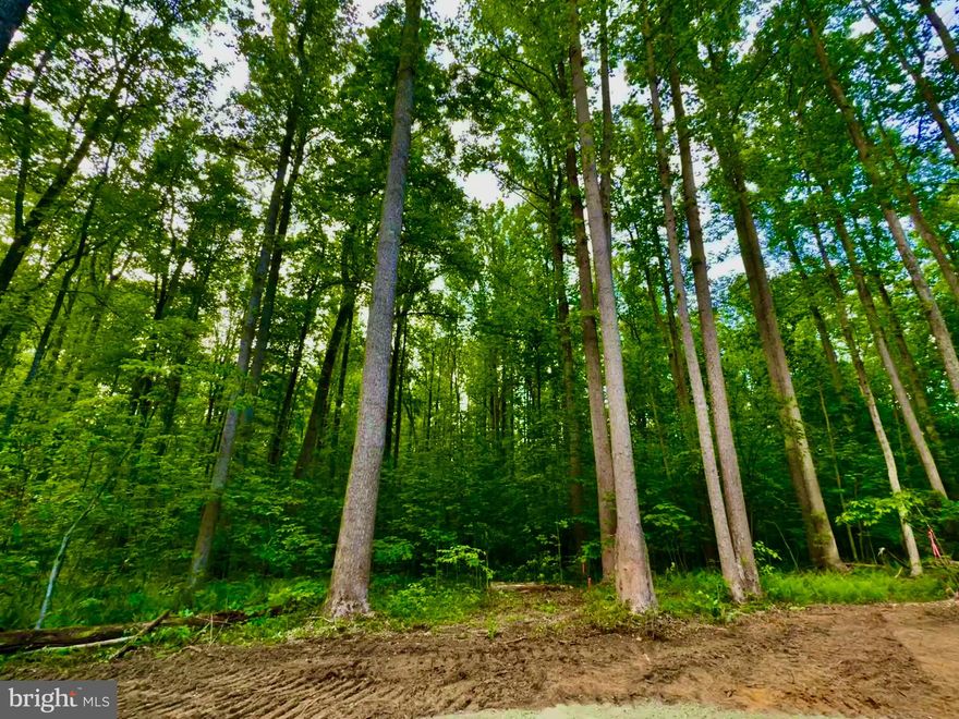 Ready to build! Beautiful 17.733 acre wooded retreat with lovely flowing stream, only 10 minutes from the town of Culpeper and 40 minutes to Charlottesville.  Property offers two separate entrances. One entrance off of James City Road and another private entrance off of Hoover Rd.- Lots of road frontage, only 1 1/2 miles from Rt. 29.  Four bedroom conventional gravity septic construction permit on record with county. No HOA, no subdivision! No covenants or restrictions.