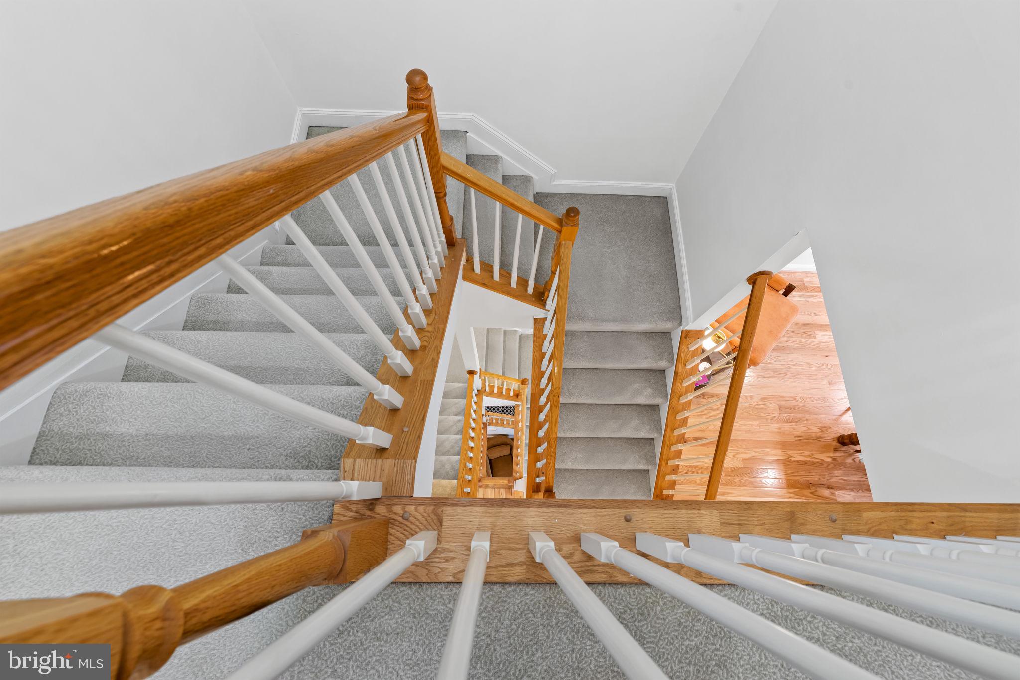 NORTH SHORE - Residential