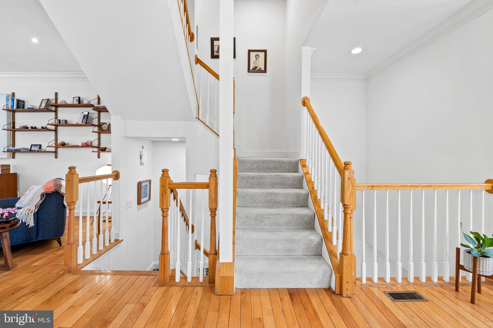 NORTH SHORE - Residential