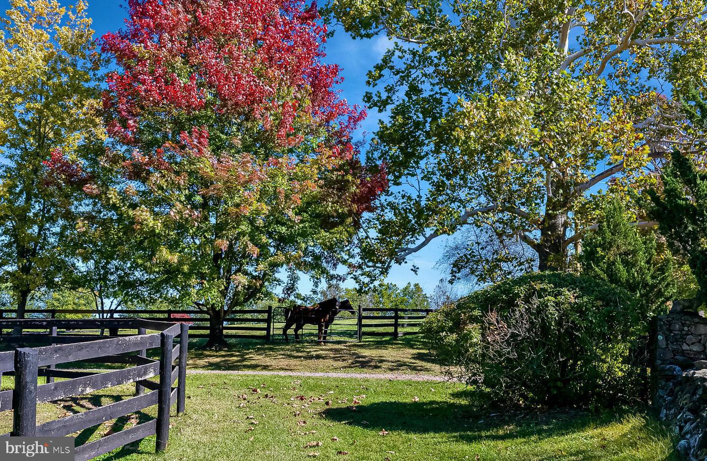 1610 DELAPLANE GRADE ROAD