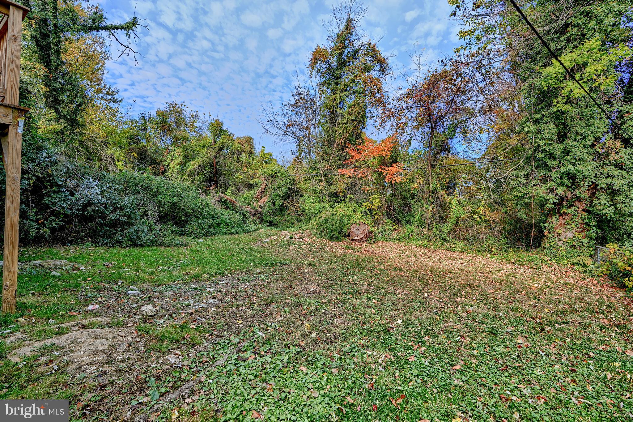 WILSON PARK - Residential