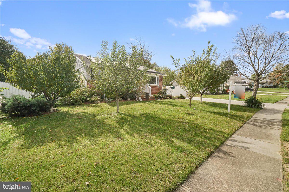 SUBURBIA - Residential