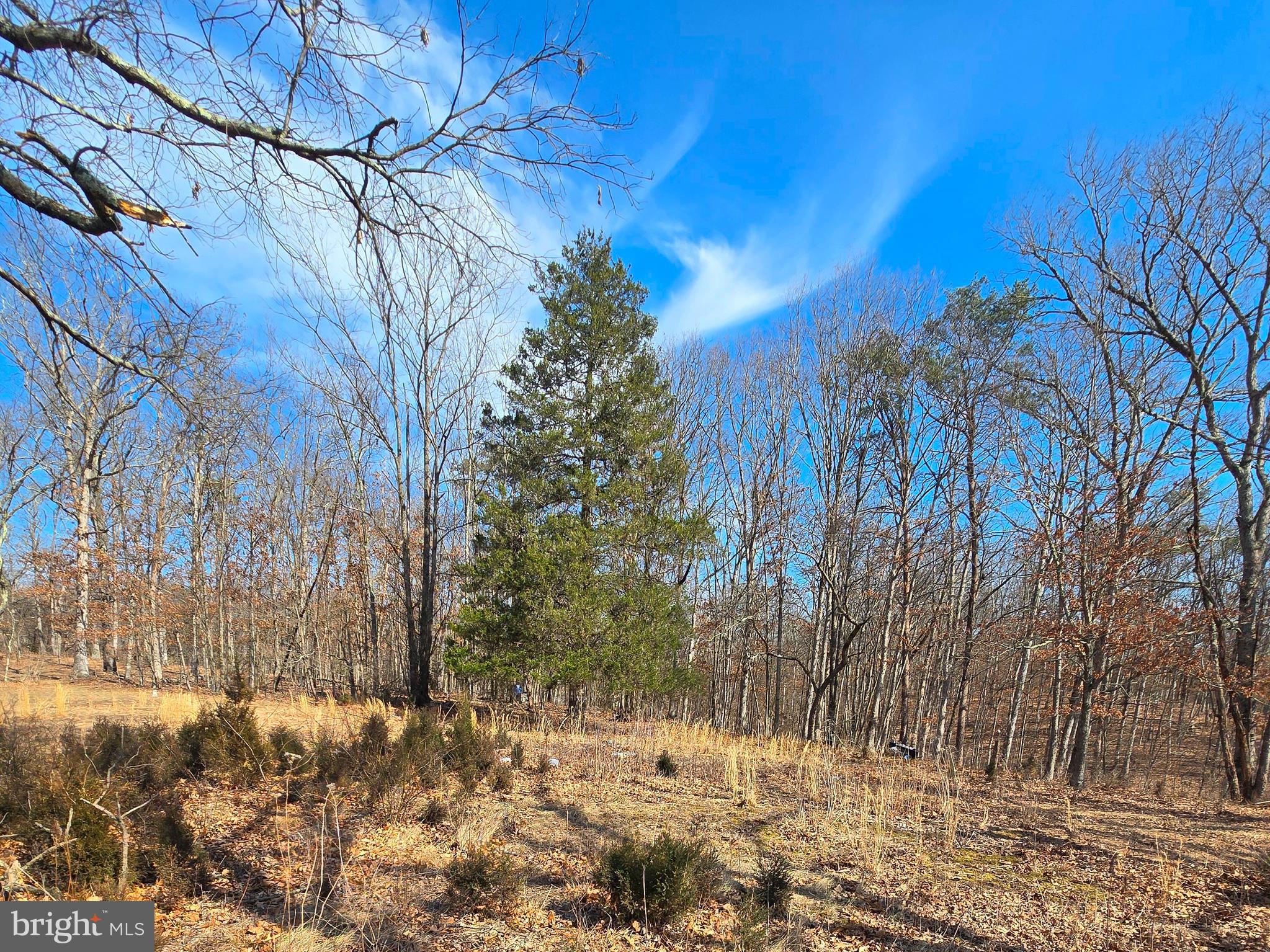 OLDTOWN - Residential