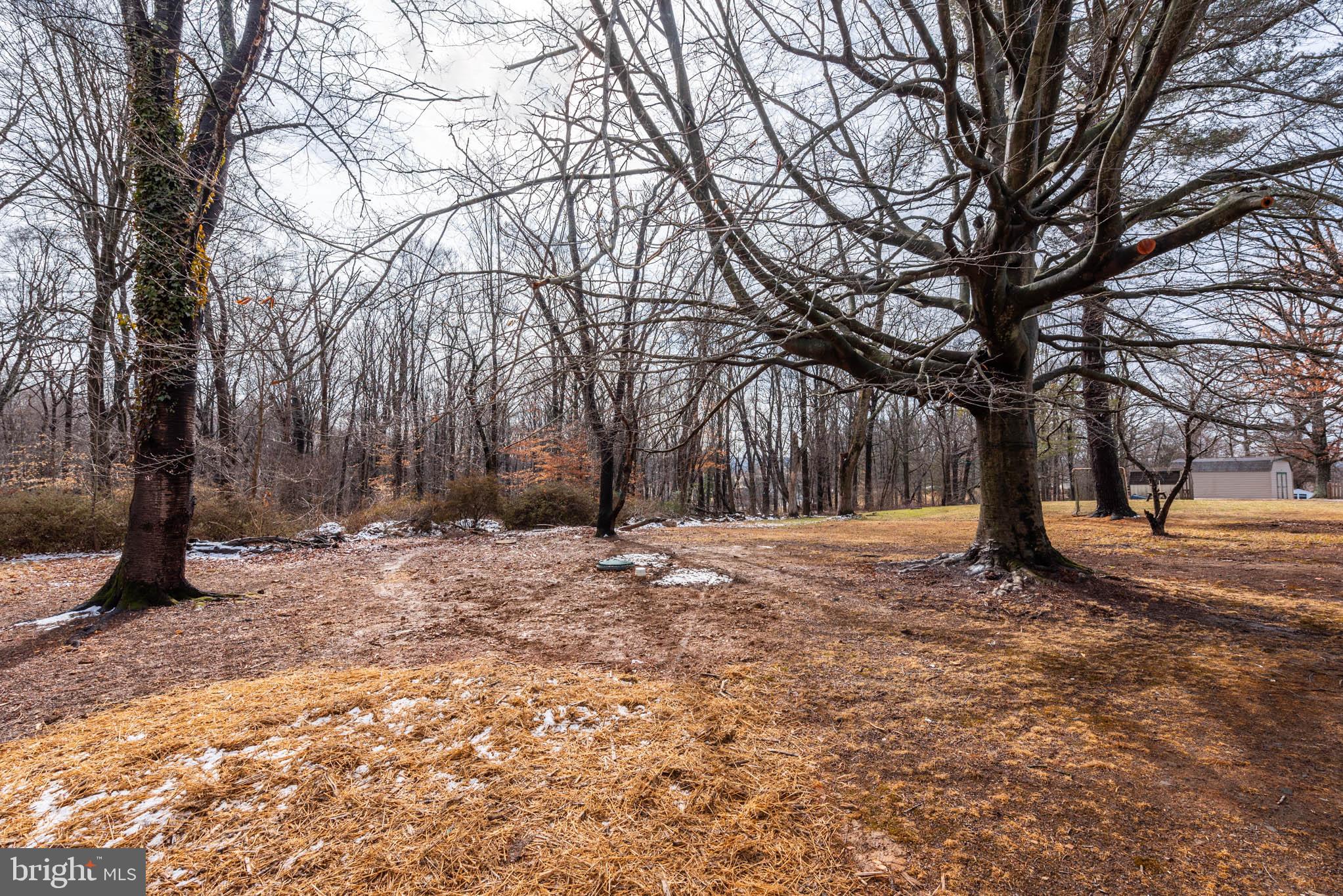 FOREST HILL - Residential