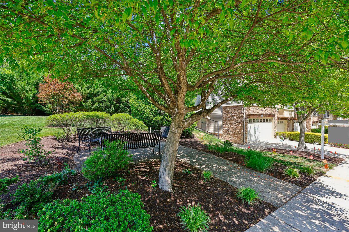 TOWNS OF DOGWOOD - Residential