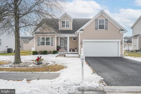 303 AMBERLY COURT MILLSBORO DE 19966