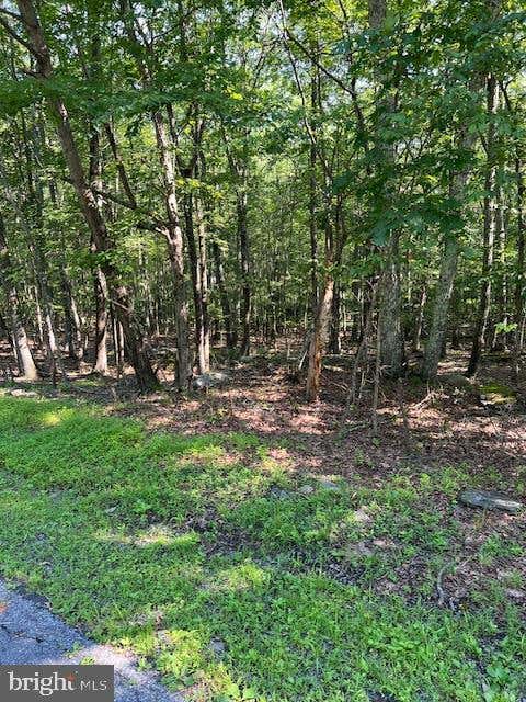 Vacant Land For Sale - Pocono Forested Drive<br/> EAST STROUDSBURG, PA 18302