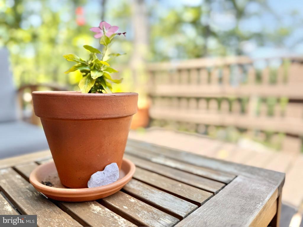 THE WOODS - Residential