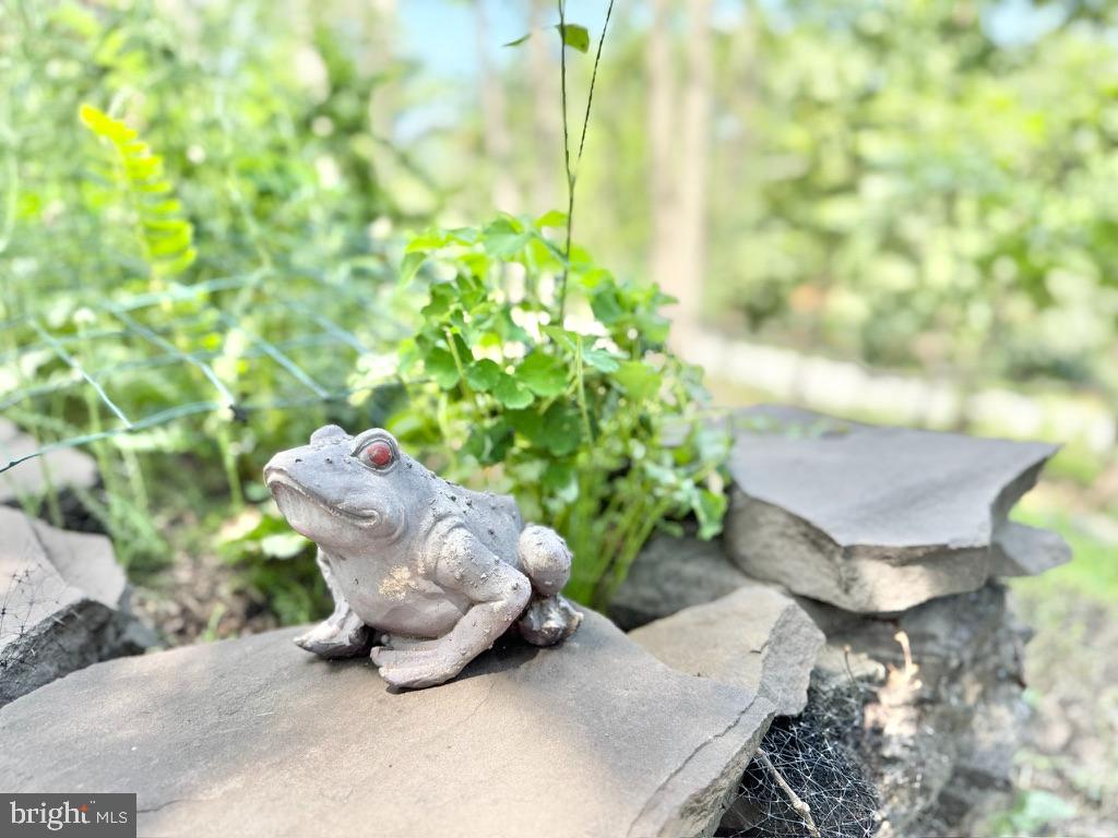 THE WOODS - Residential