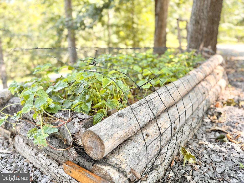 THE WOODS - Residential