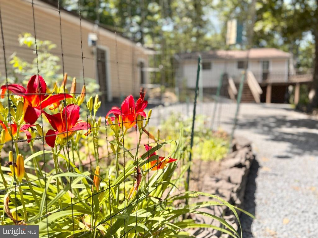 THE WOODS - Residential