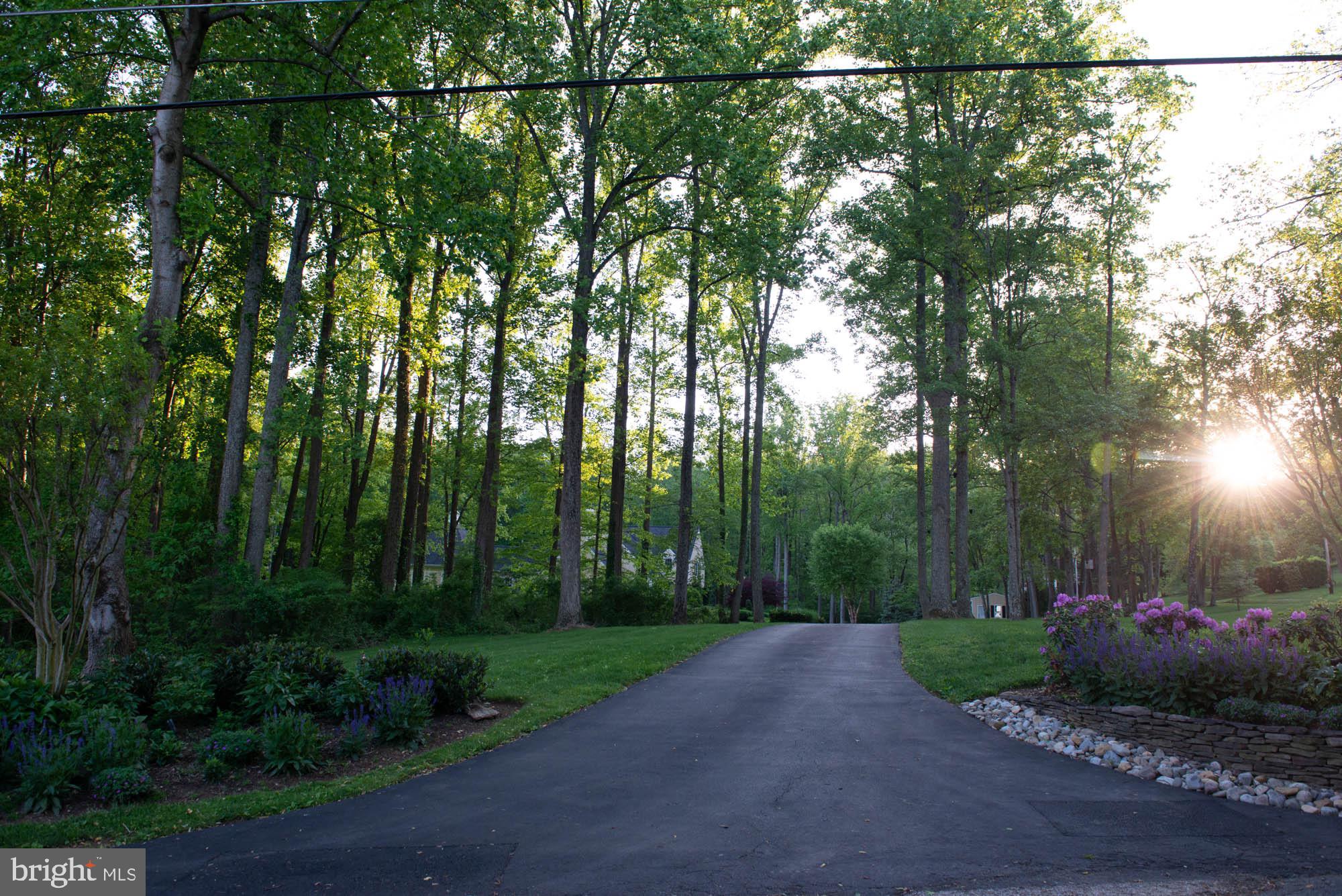 STEVENSON - Residential