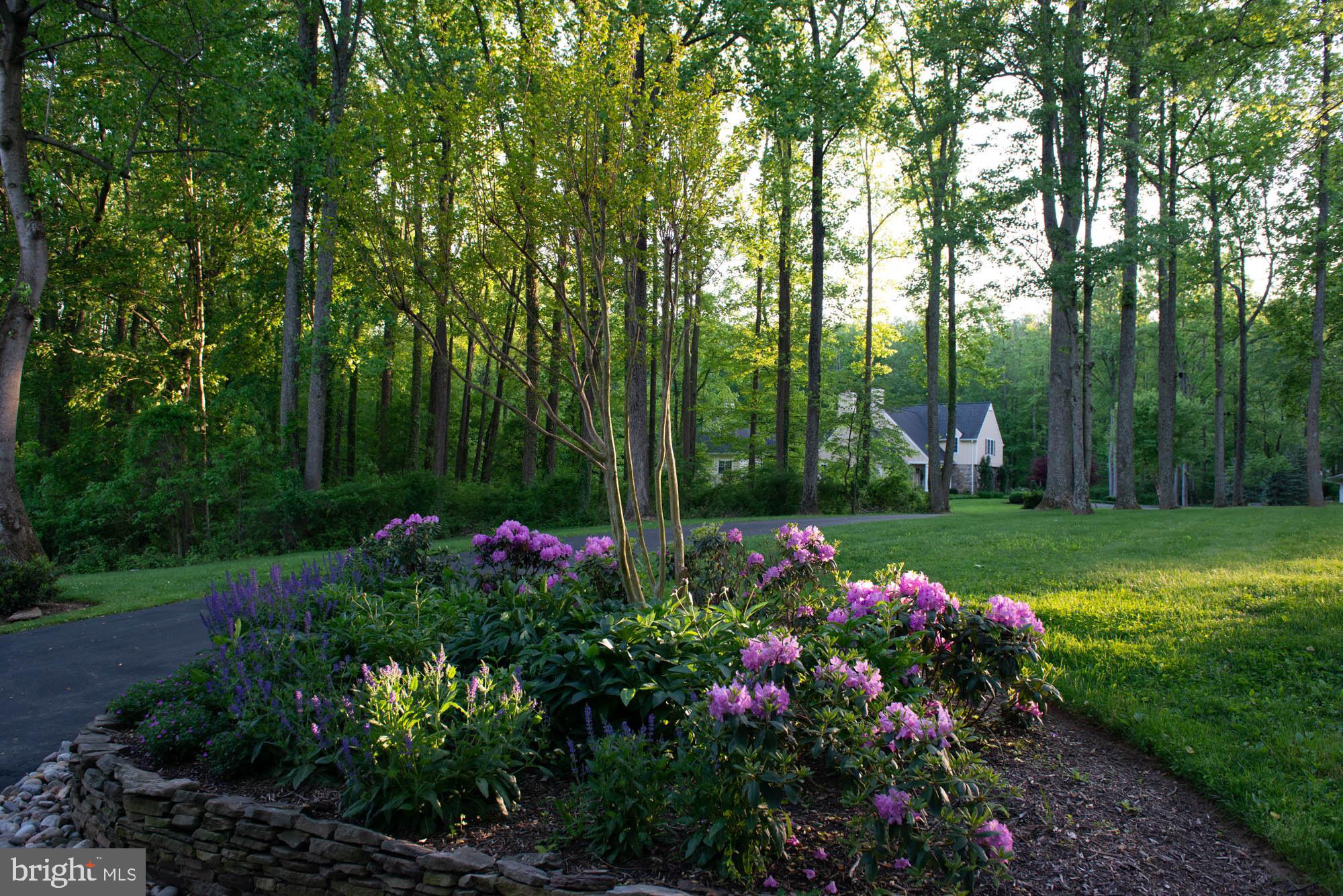 STEVENSON - Residential