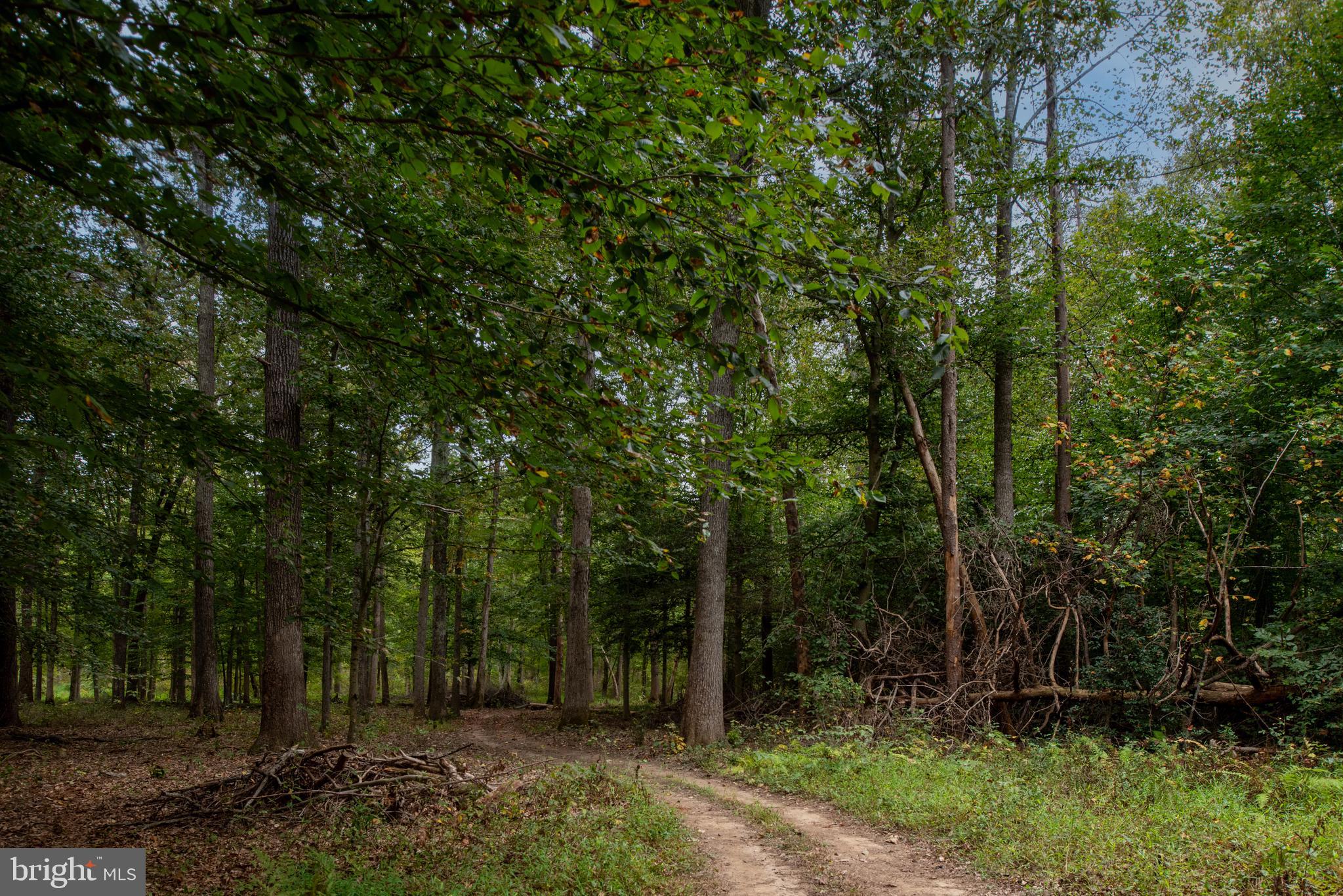 WATERFORD ESTATES - Residential