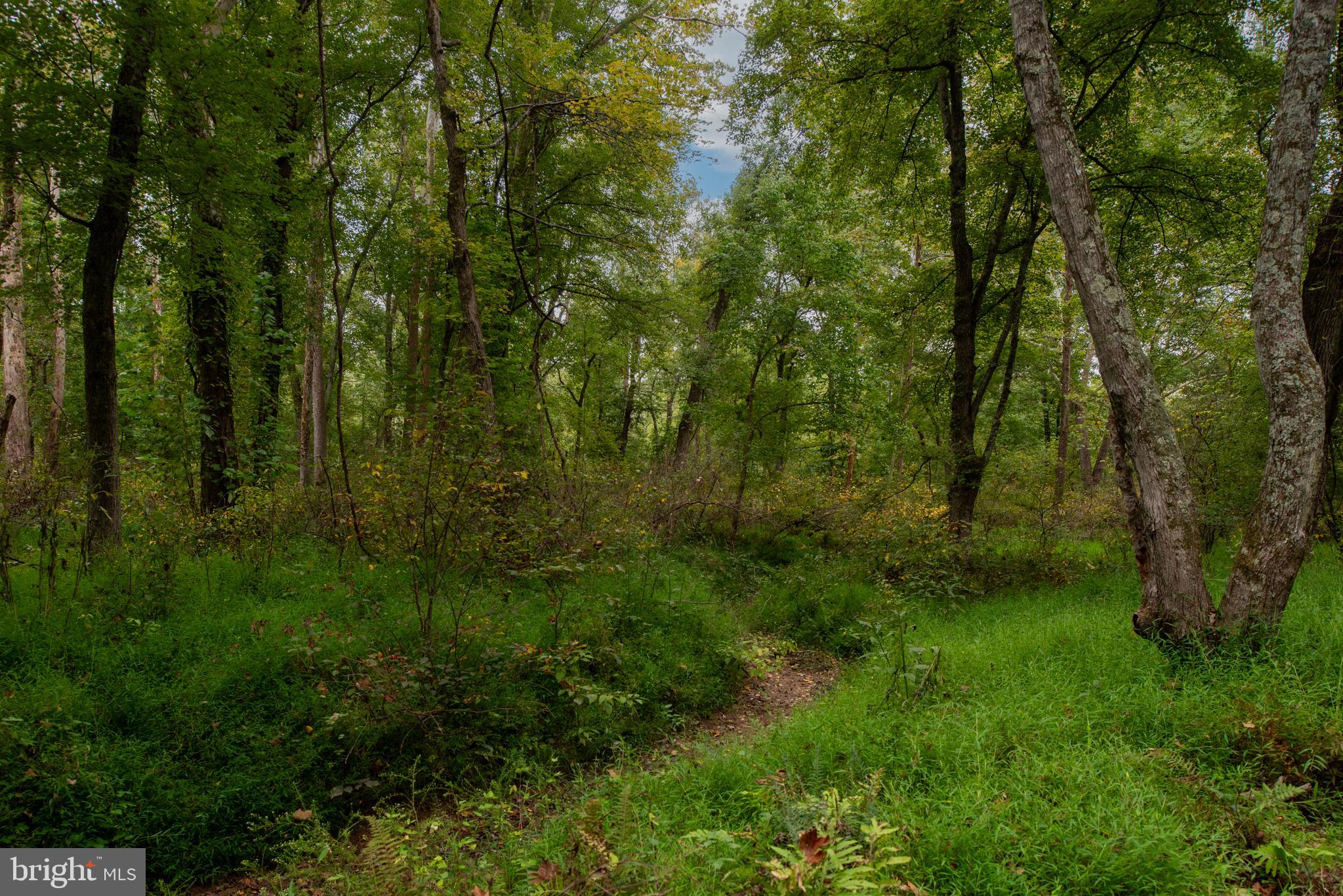 WATERFORD ESTATES - Residential