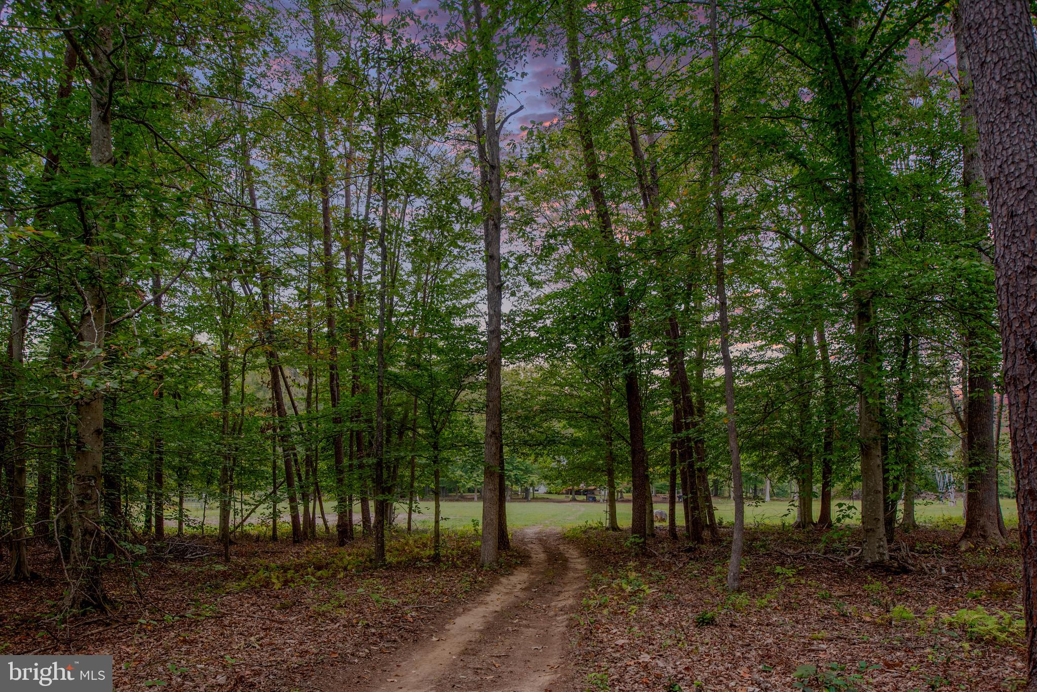 WATERFORD ESTATES - Residential