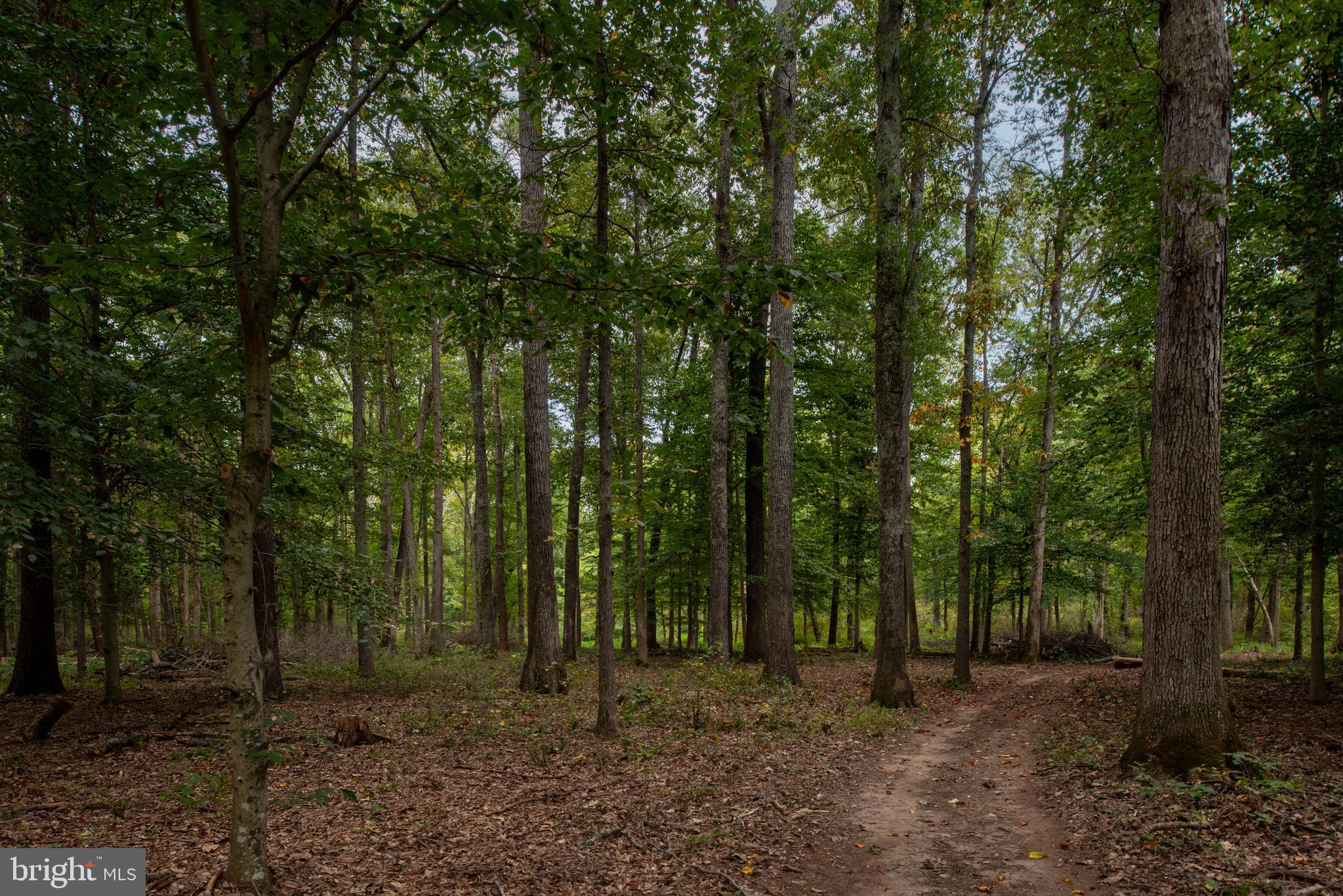 WATERFORD ESTATES - Residential