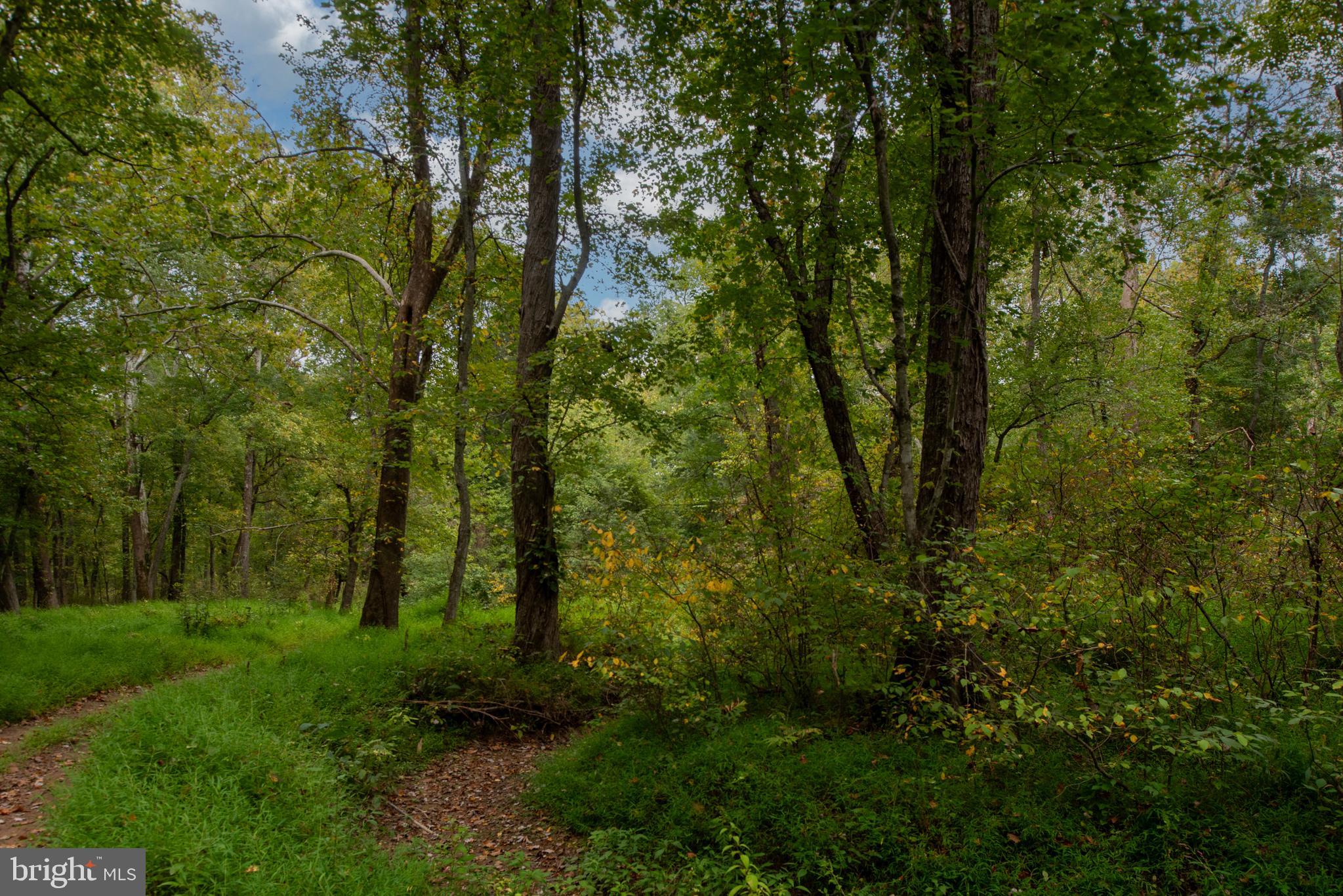 WATERFORD ESTATES - Residential