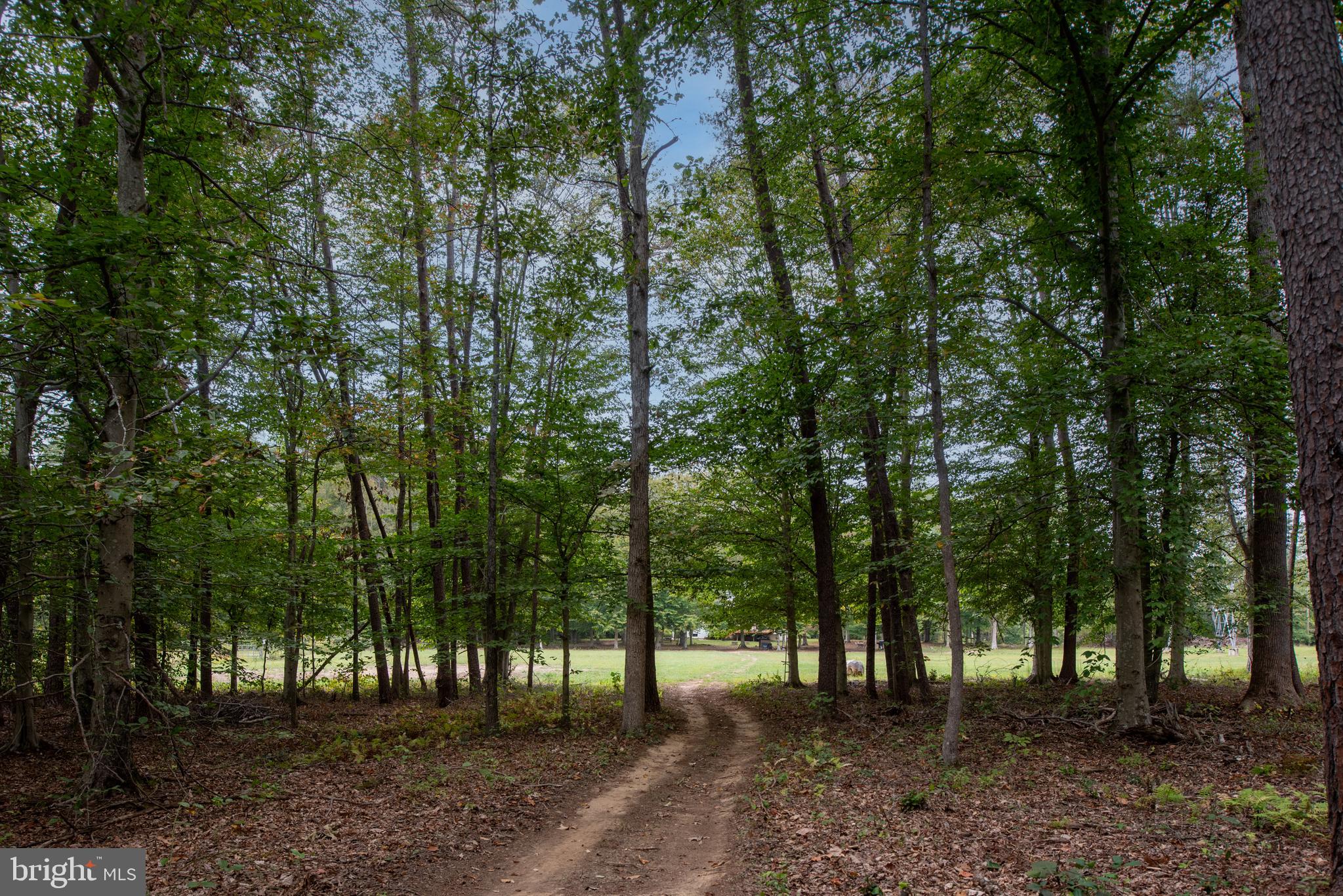 WATERFORD ESTATES - Residential