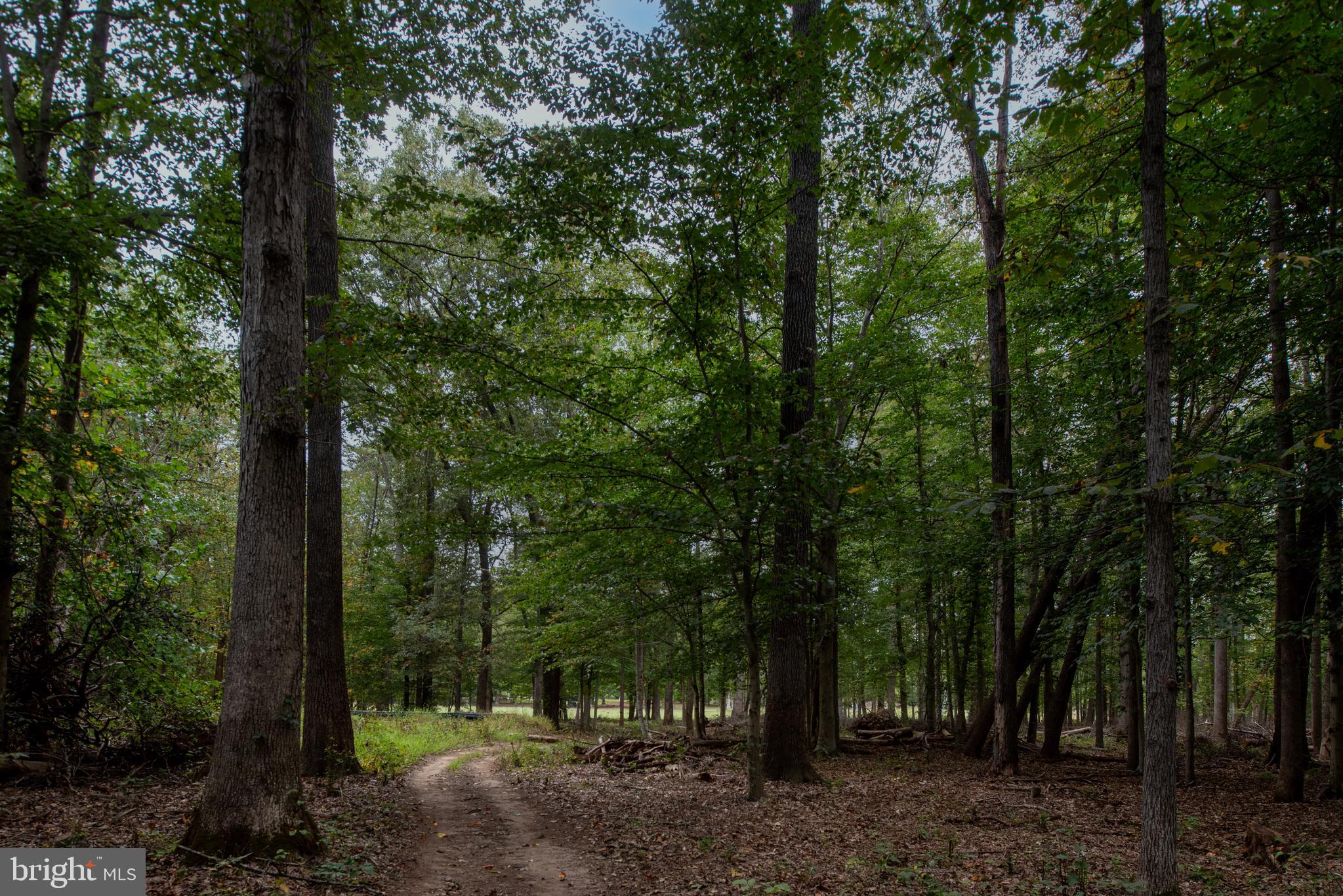 WATERFORD ESTATES - Residential