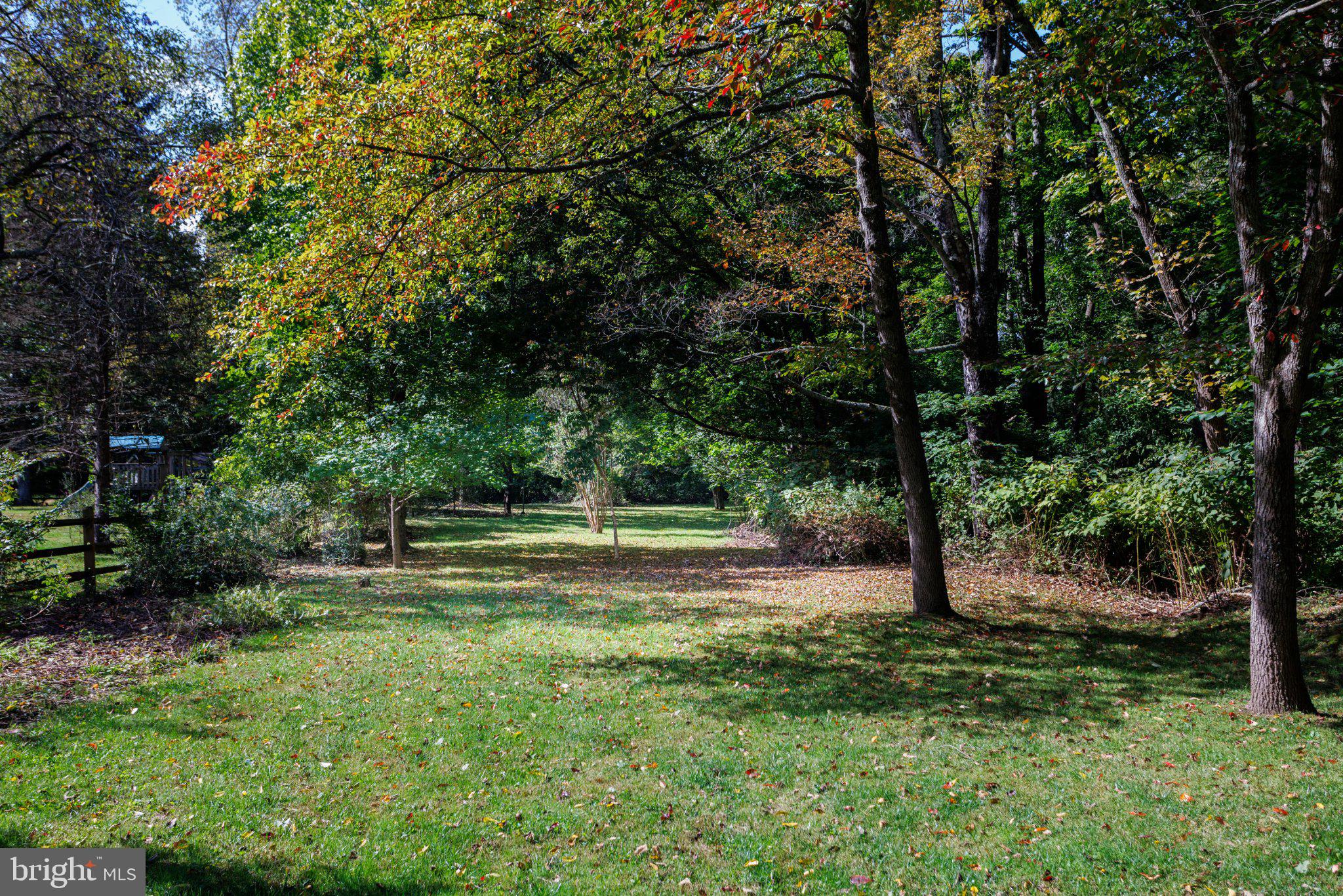 209 RAWLES RUN LANE