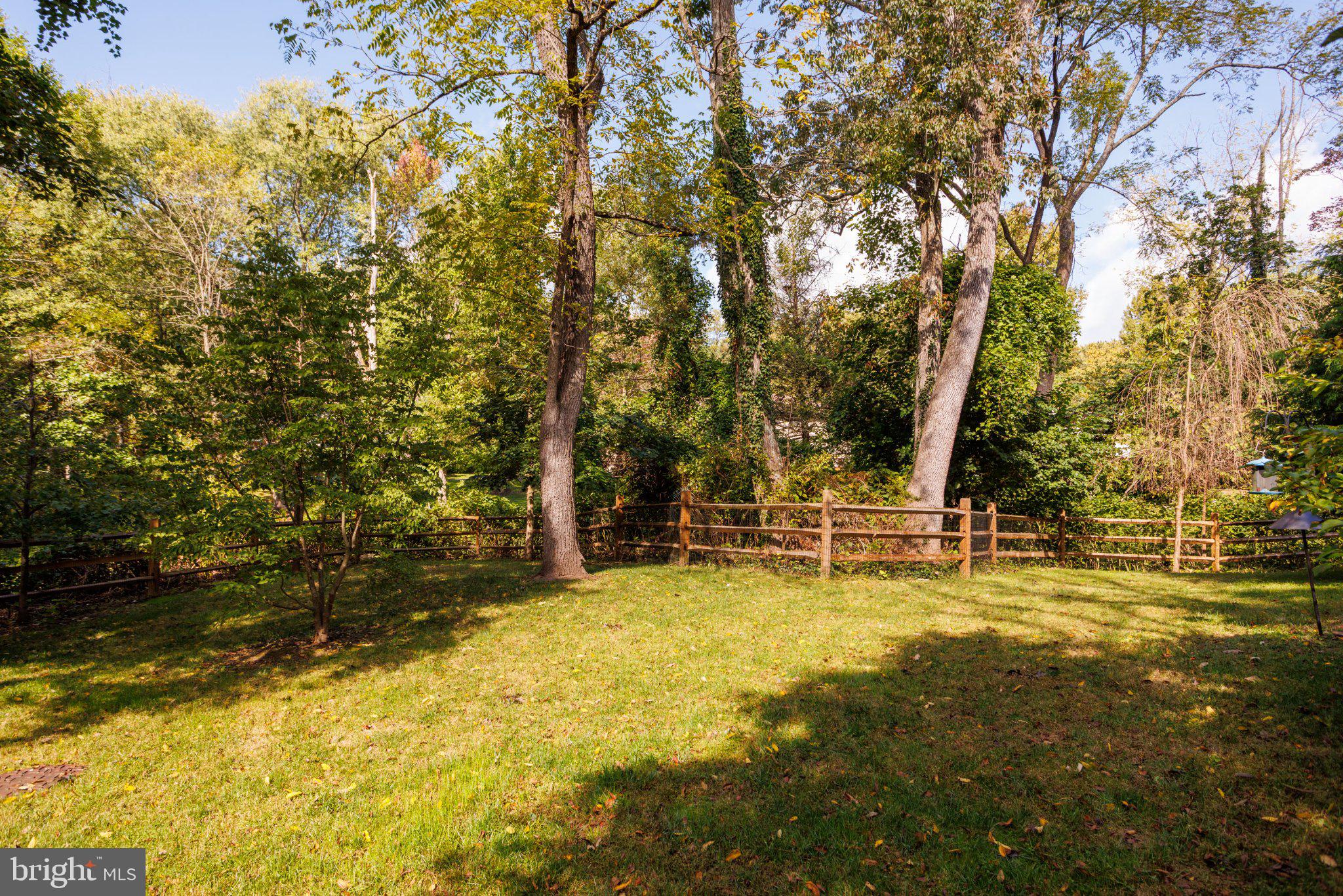 209 RAWLES RUN LANE