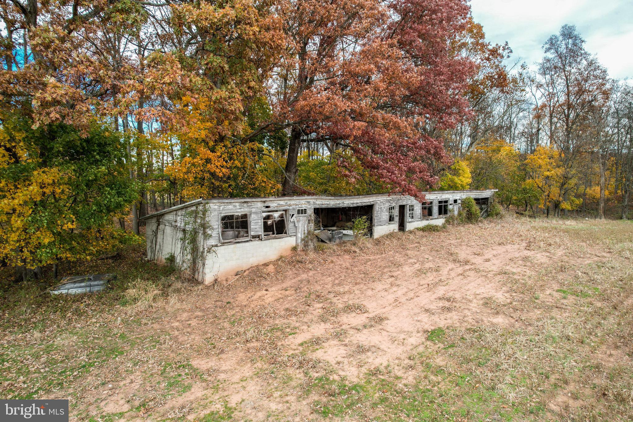 NONE AVAILABLE - Farm