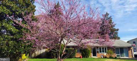 BRISTOW - Residential