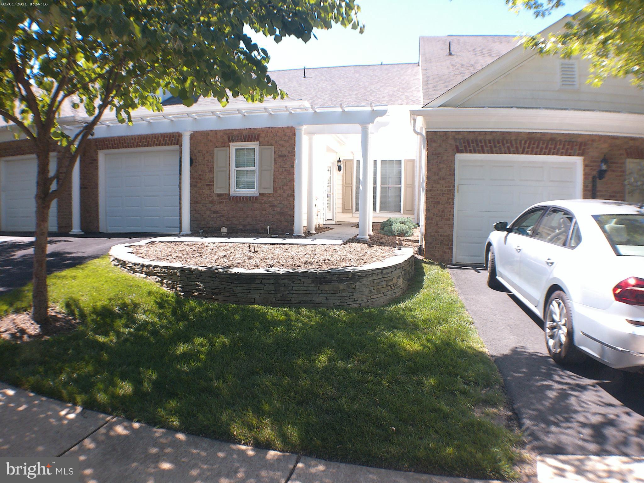 44398 MALTESE FALCON SQUARE