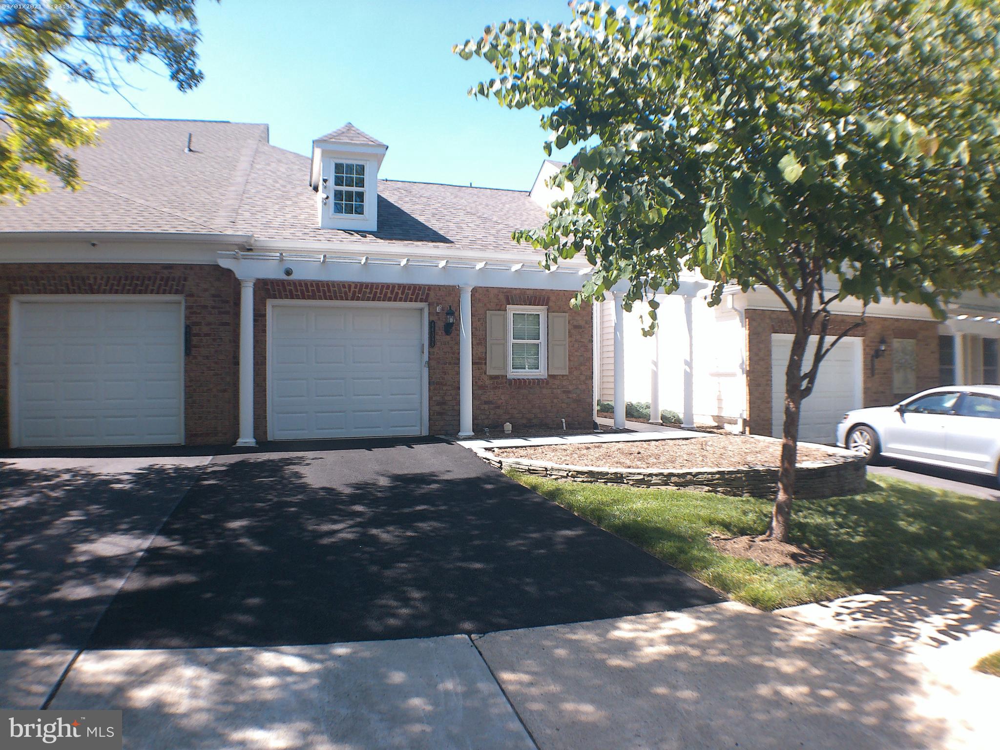 44398 MALTESE FALCON SQUARE
