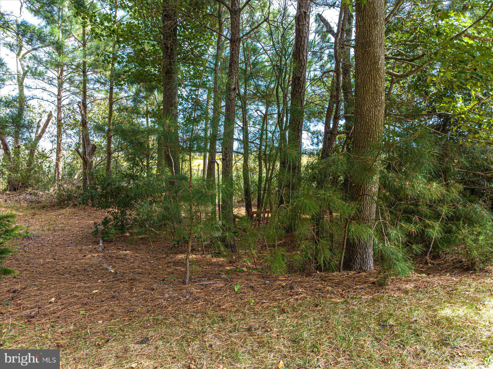 10312 THIRTY KNOTS LANE