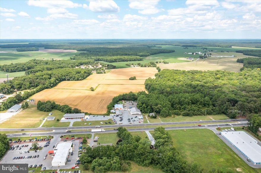 Prime Location!!!  If you are an investor, builder, or developer looking for the optimal location look no further!   This property has unlimited development potential with prime frontage on Rt 113 and Rt 54 in Selbyville.  These two parcels totaling 47.5 acres are being sold together and are within the town limits. Located 1 mile from the Maryland State line and 10 miles from Ocean City and Fenwick Island.  Offered at $2,615,000. Come take a look before it's SOLD!